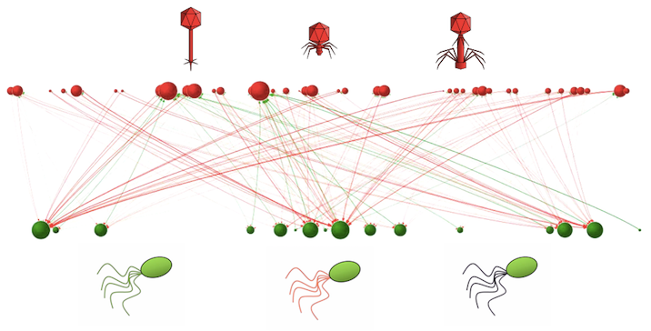 Setting up host-parasite coevolutionary experiments in Avida.